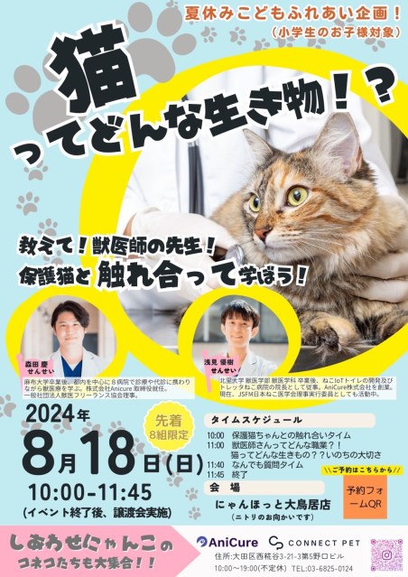 第303回 8月18日（日） 大鳥居「にゃんほっと」にてプチ譲渡会開催