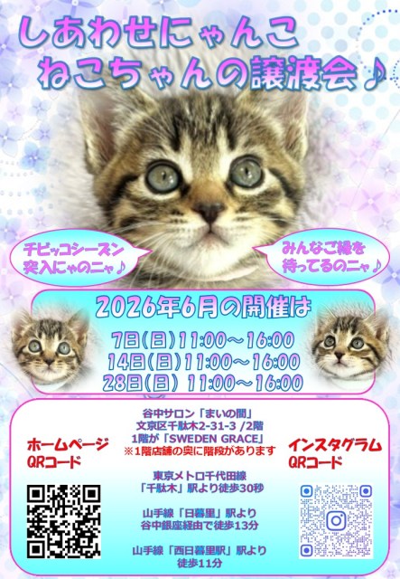 第359回 6月28日（日） 谷中サロン「まいの間」にて譲渡会開催